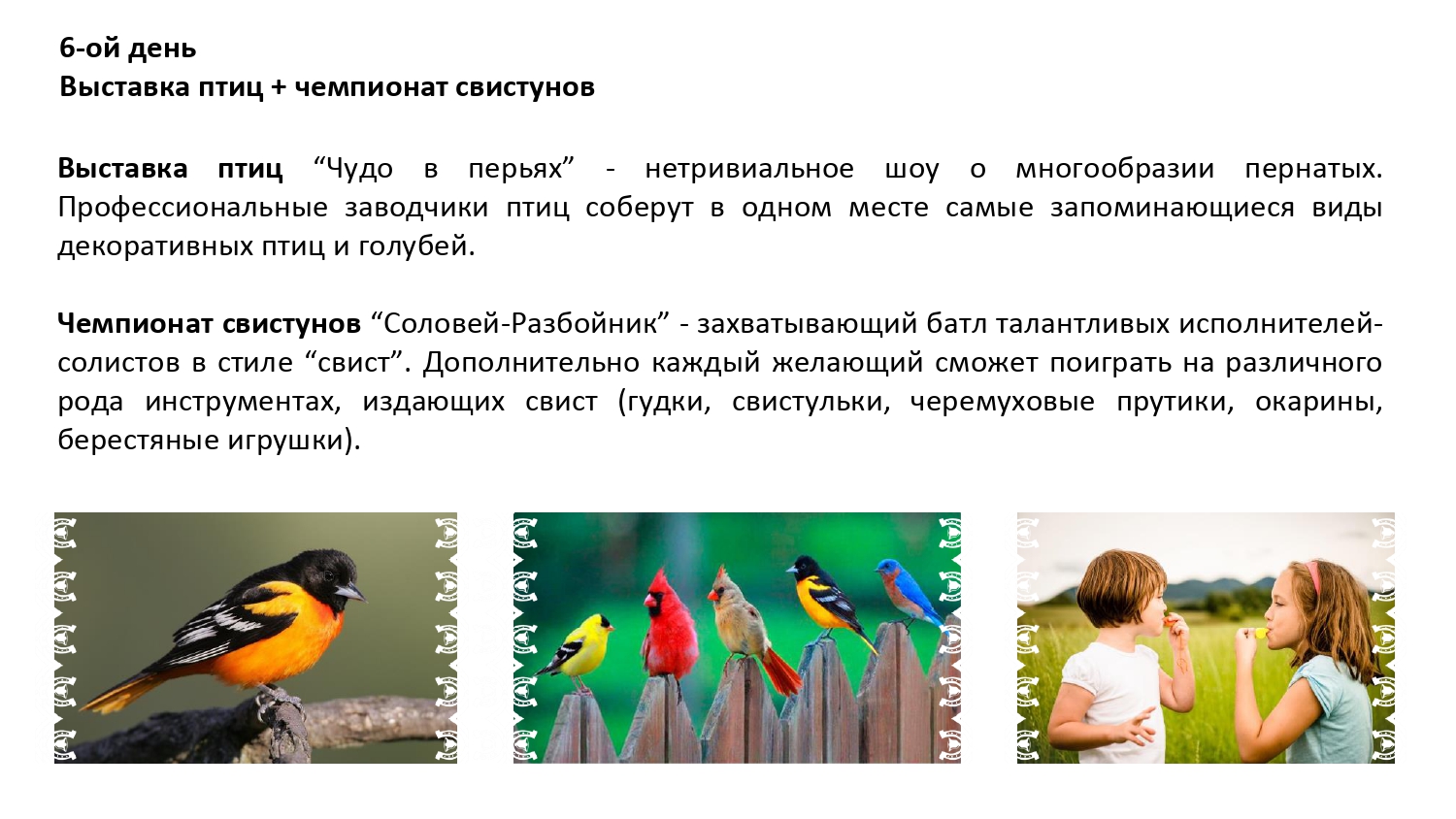 Фестиваль-променад Бирюза в городе Орле